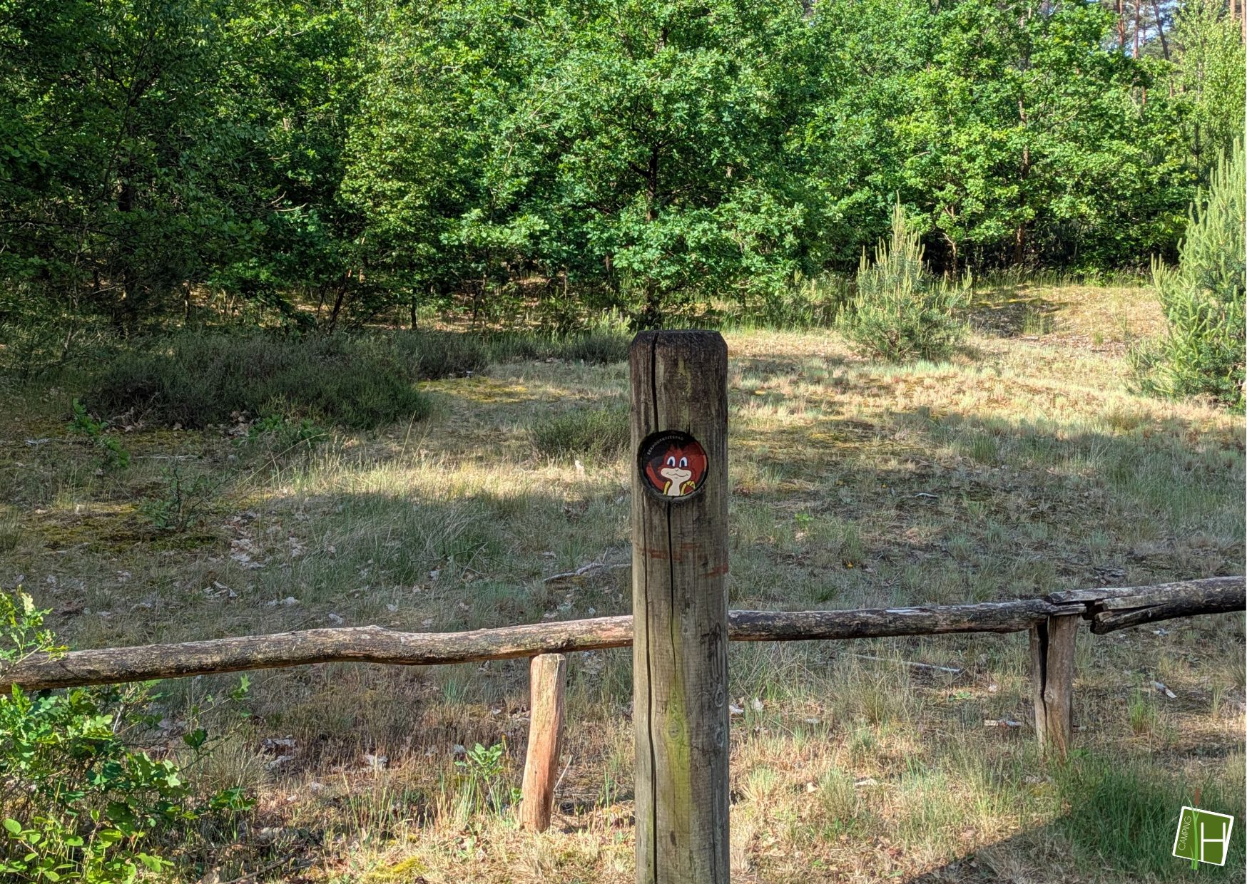 Eekhoorntjespad in Kasterlee