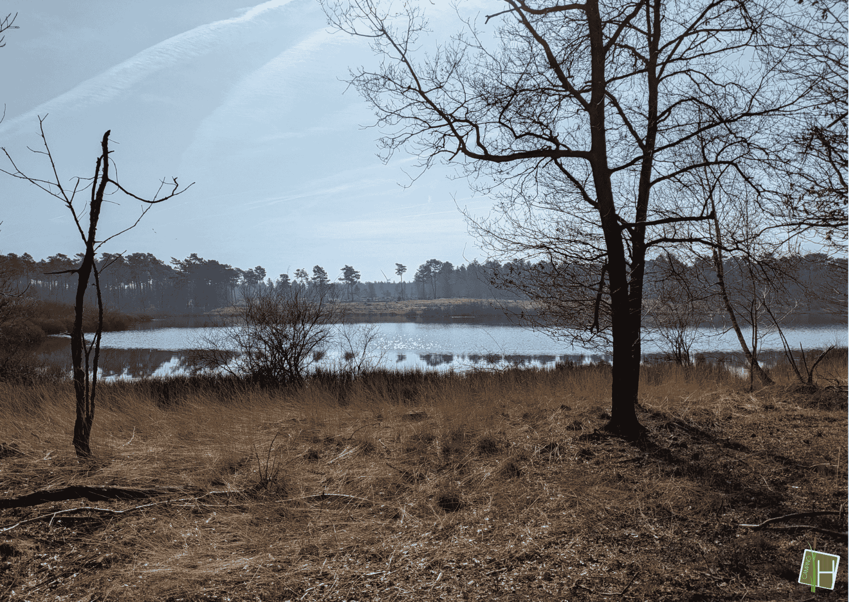 Zwart water